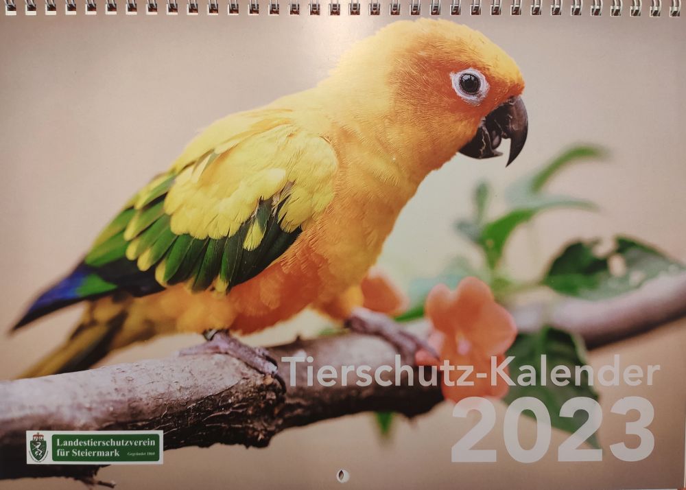 Tierschutz-Kalender 2023