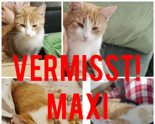 Raßnitz Maxi
