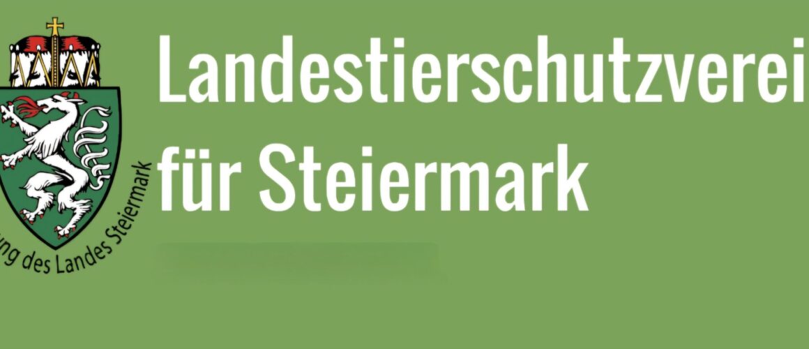 🐾 Gemeinsam für Tiere in Not – Werde Sponsor! 🐾