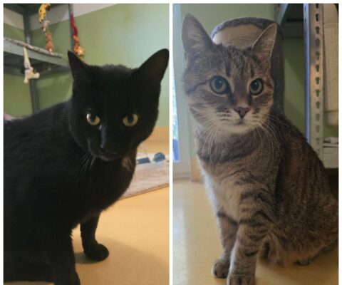 11573 Lou & 11574 Jack