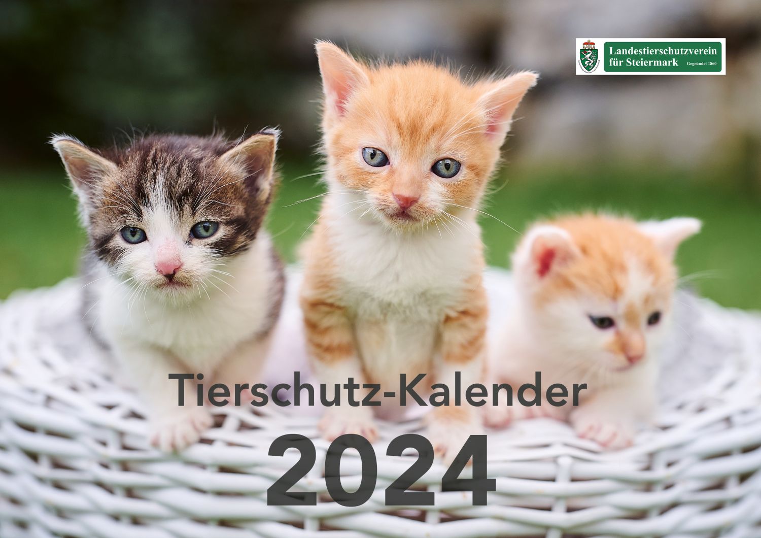 Tierschutz-Kalender 2024
