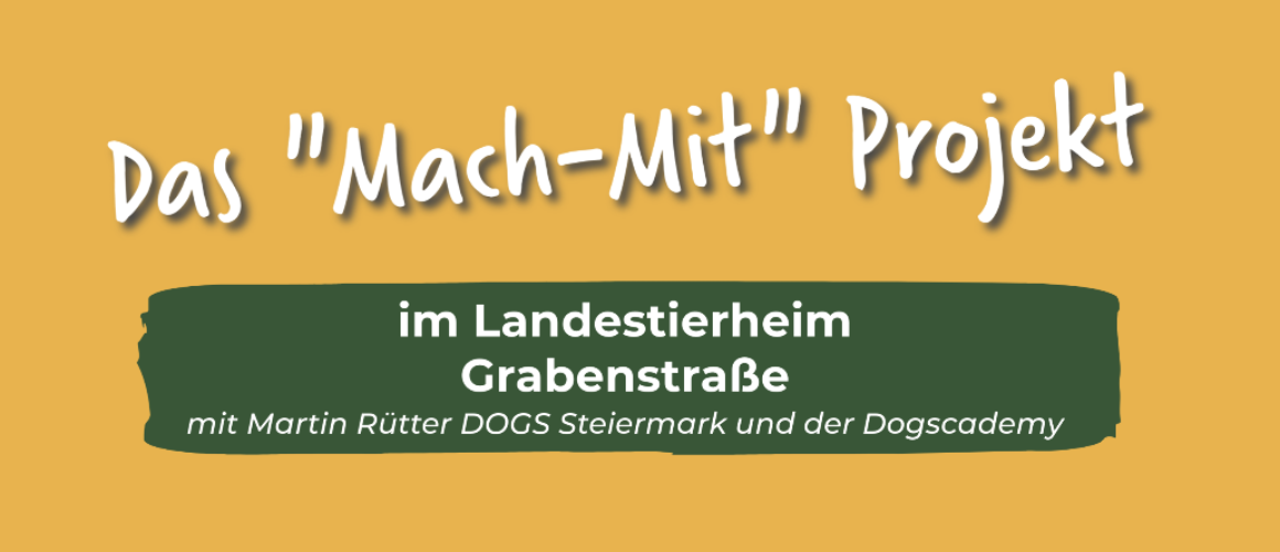 Martin Rütter DOGS – Miete des Agilityplatzes für Tierheimhunde