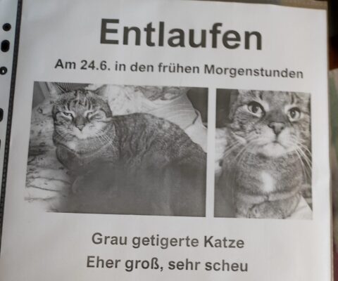 Körblergasse