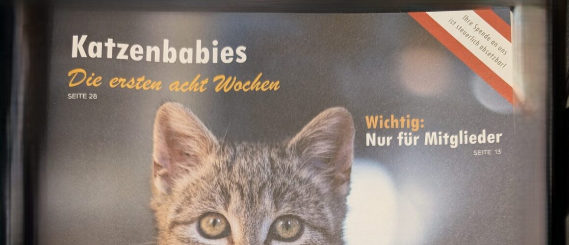 🐾 Unterstützen Sie unsere Tierschutzarbeit mit Ihrer Werbeeinschaltung! 🐾
