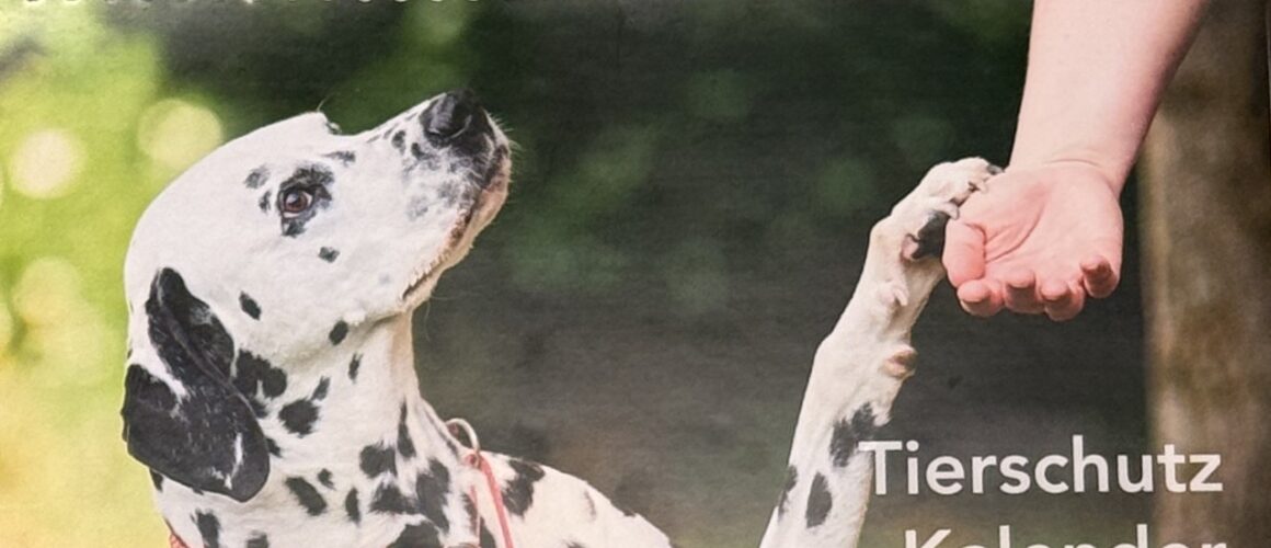 🐾 Unser Tierschutz Kalender 2026 🐾