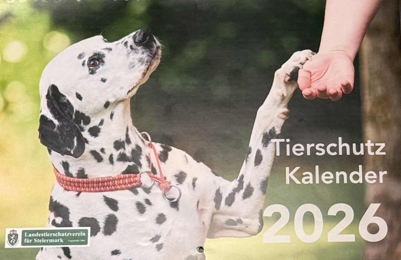 🐾 Unser Tierschutz Kalender 2026 🐾
