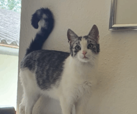 Premstätten/Kalsdorf