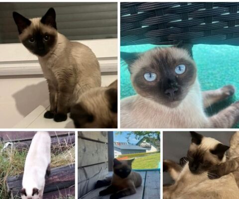 Söding – St. Johann