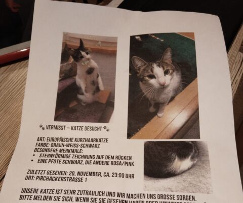 PIRCHÄCKERSTRASSE 1