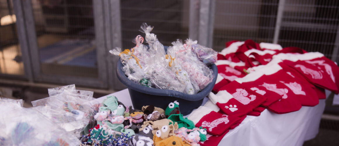 🐾 Rückblick auf unsere Adventfeier am 29.11.2025 🐾