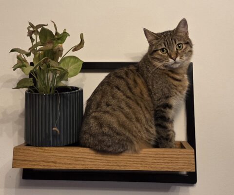 Rebengasse / Metahofgasse