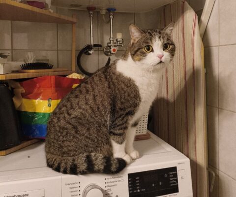 Untere Teichstraße – Waltendorf