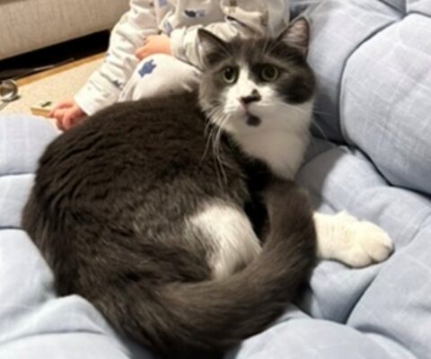 Süd-Ost-Siedler Straße