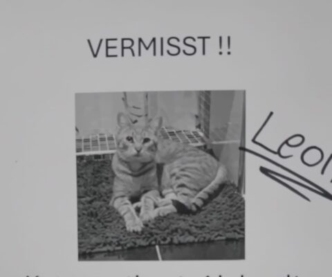 Puschweg